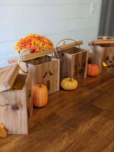 Cedar Jack O' Lanterns